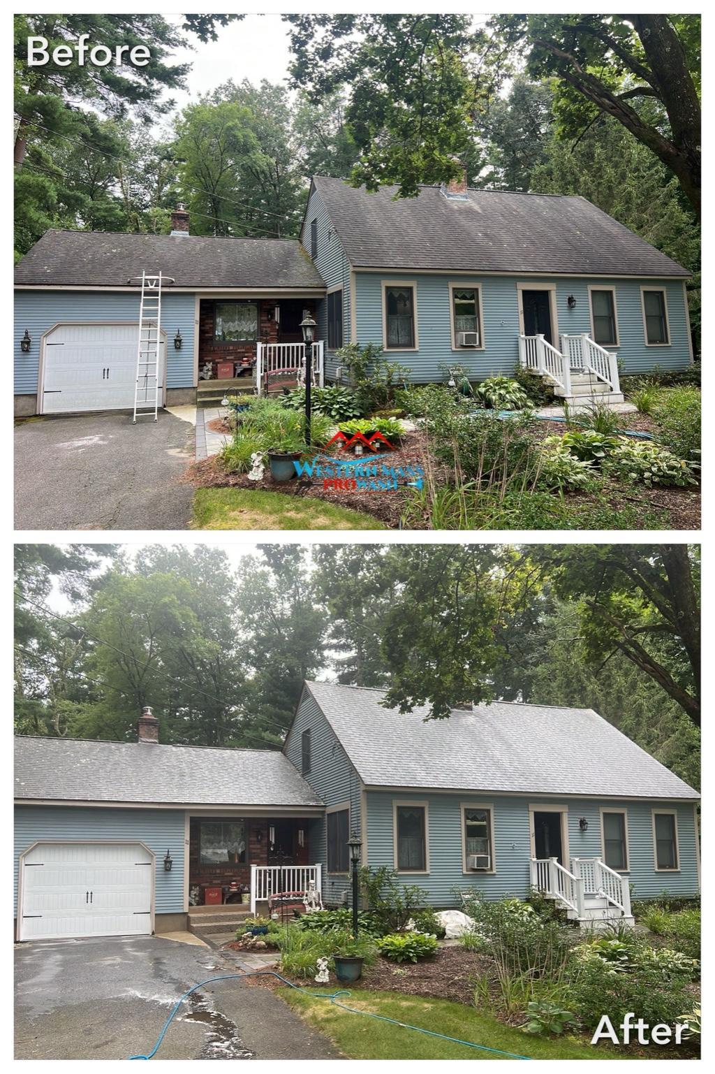 A dramatic before-and-after of a professional roof cleaning job. Clean roofs not only look better but also reduce insurance risk.