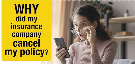 Why Are Insurance Companies Cancelling Homeowner’s Policies Because of a Dirty Roof? Thumbnail